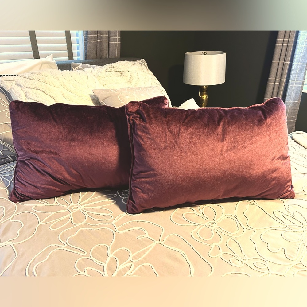 Velveteen rectangular pillows.
